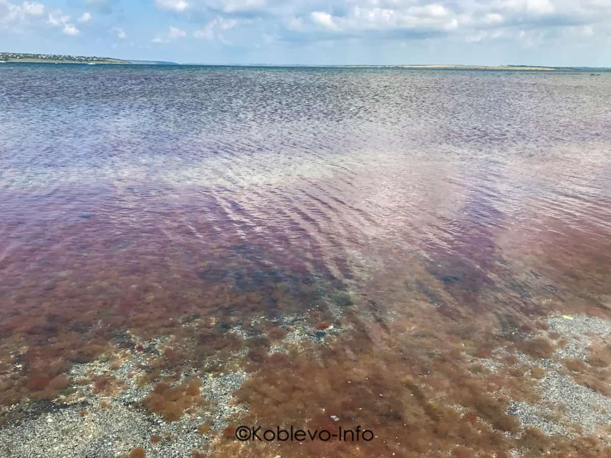 Тилигульский лиман в Коблево