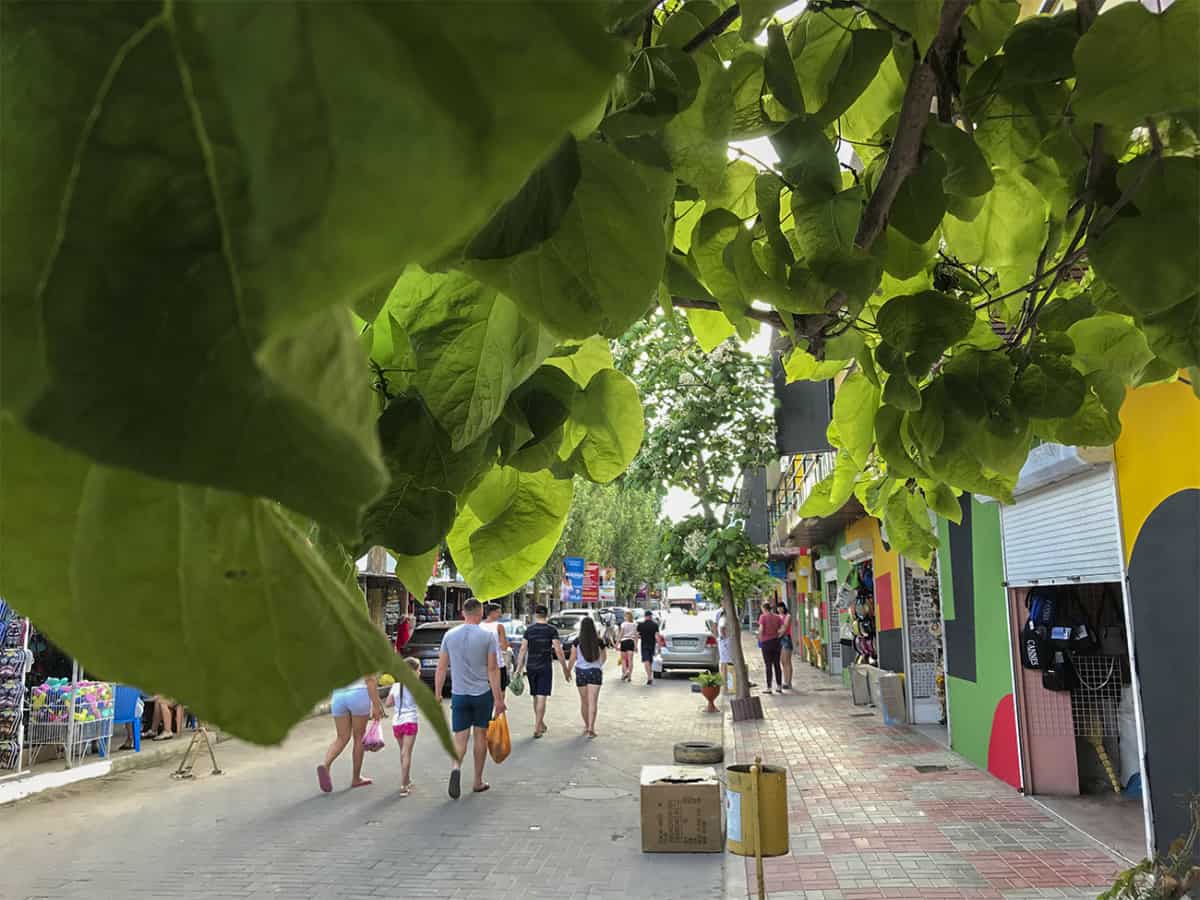 Фестивальная аллея в Коблево