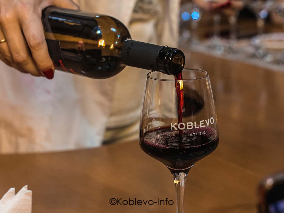 Экскурсия и дегустация на завод Дом вина Коблево