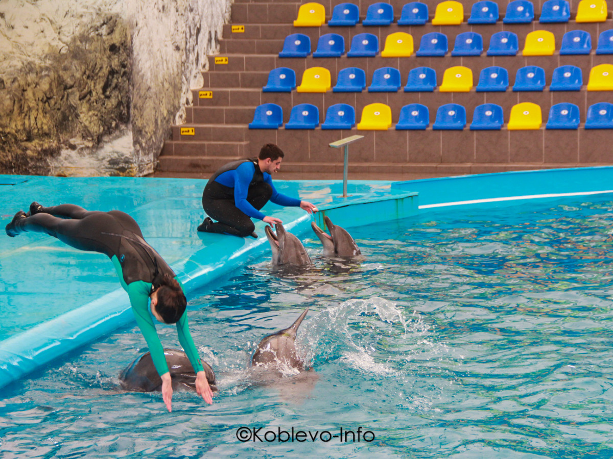 Что посетить с семьей в Коблево