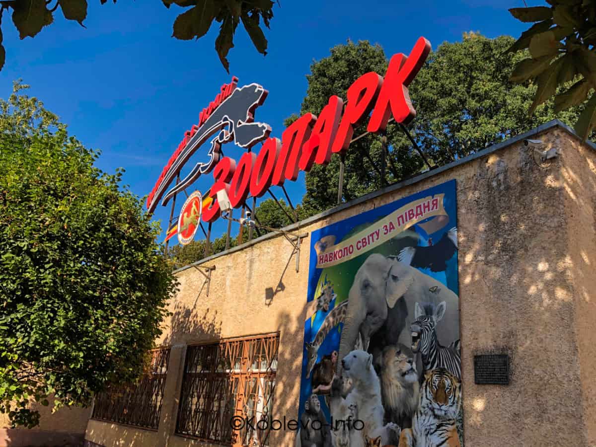 Лучший в Украине зоопарк. Экскурсии из Коблево