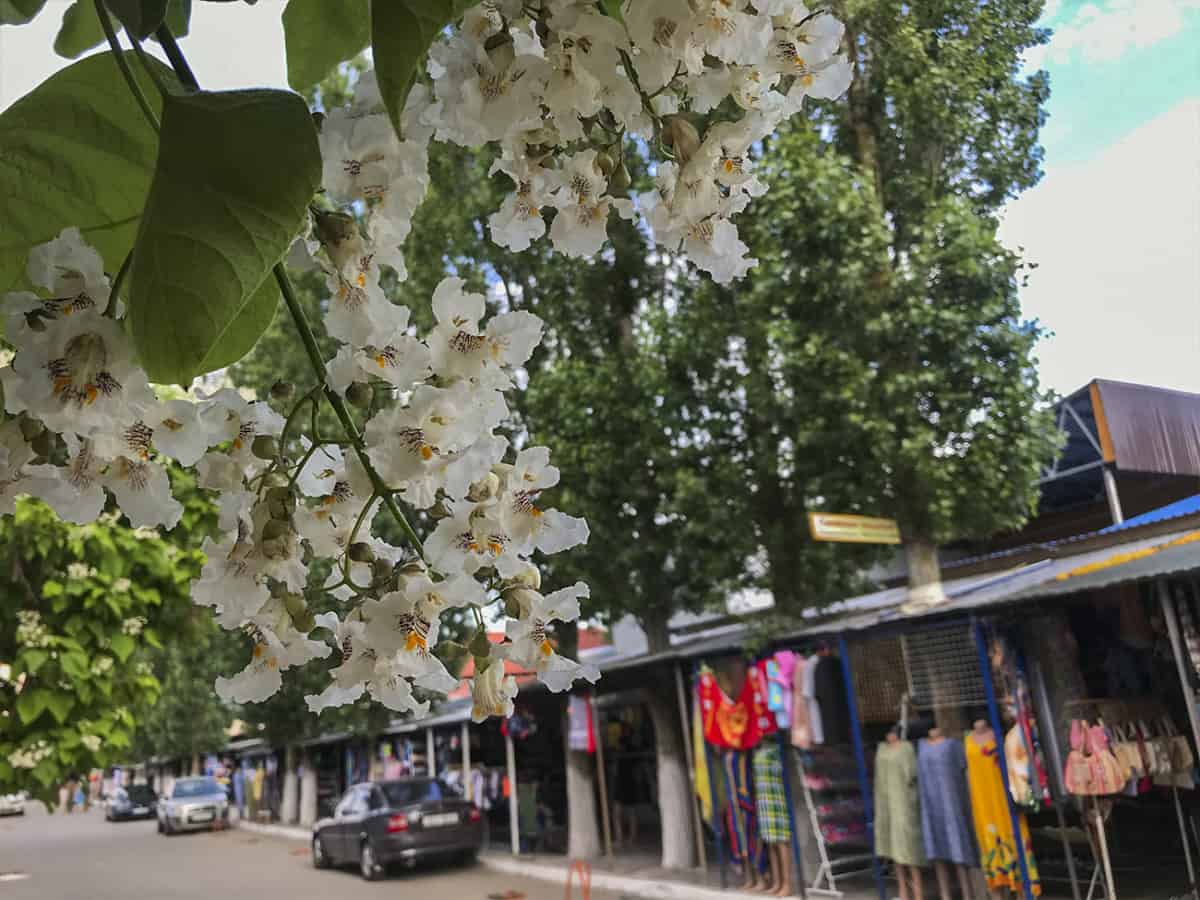 Одежда и сувениры в Молдавской зоне Коблево