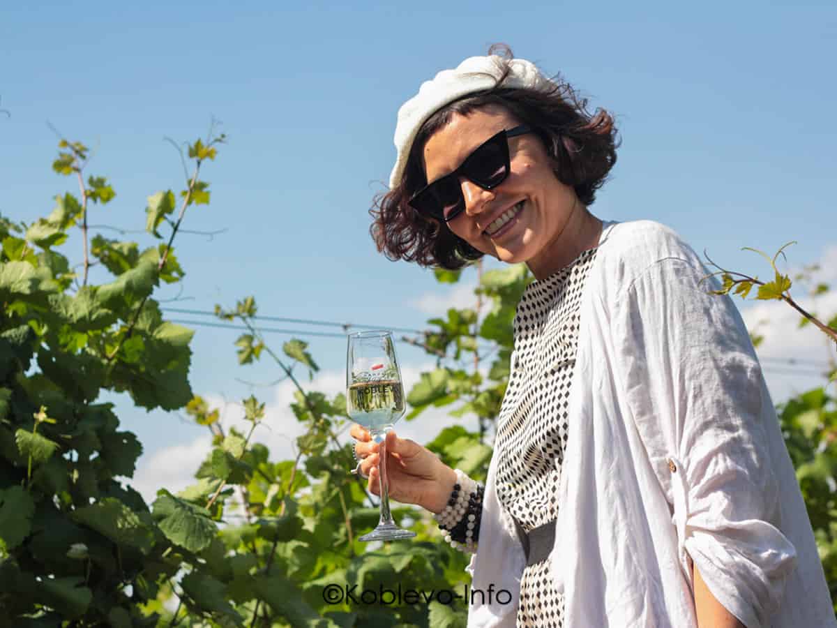 Виноградники в Коблево