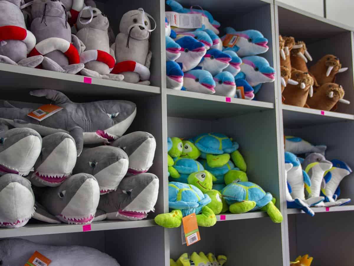 Купить игрушку в дельфинарии в Коблево