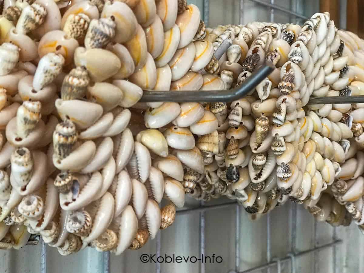 Привезти сувенир ракушку из Коблево