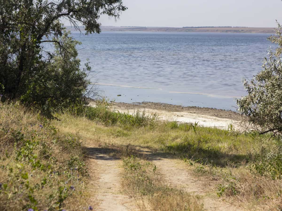 На Тилигульском лимане есть устричная ферма в Коблево