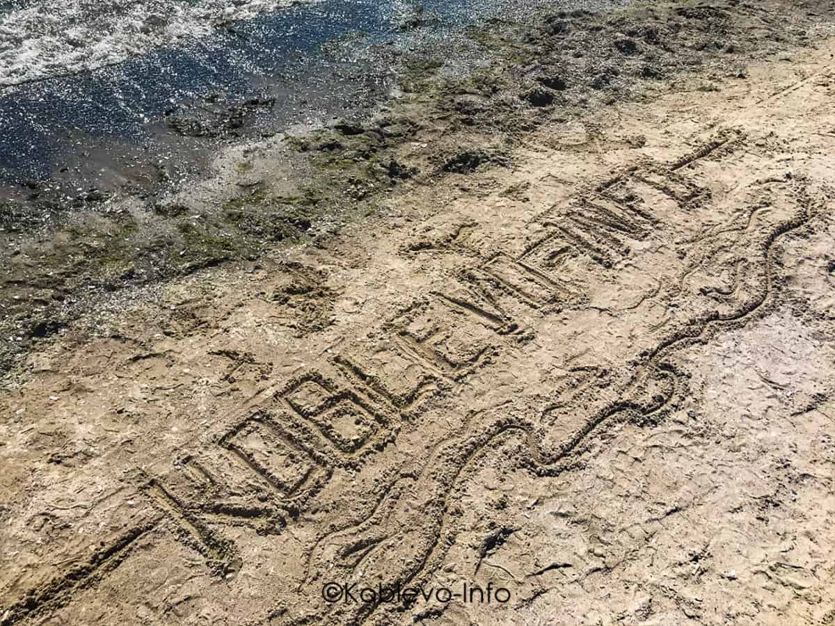 Команда Коблево Инфо на пляже в Коблево летом