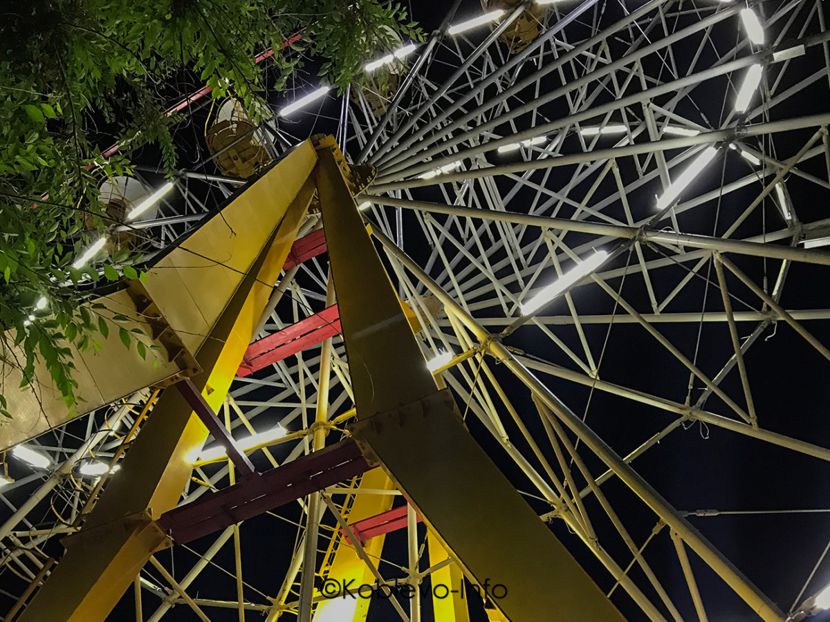 Колесо обозрения в Коблево. Фото