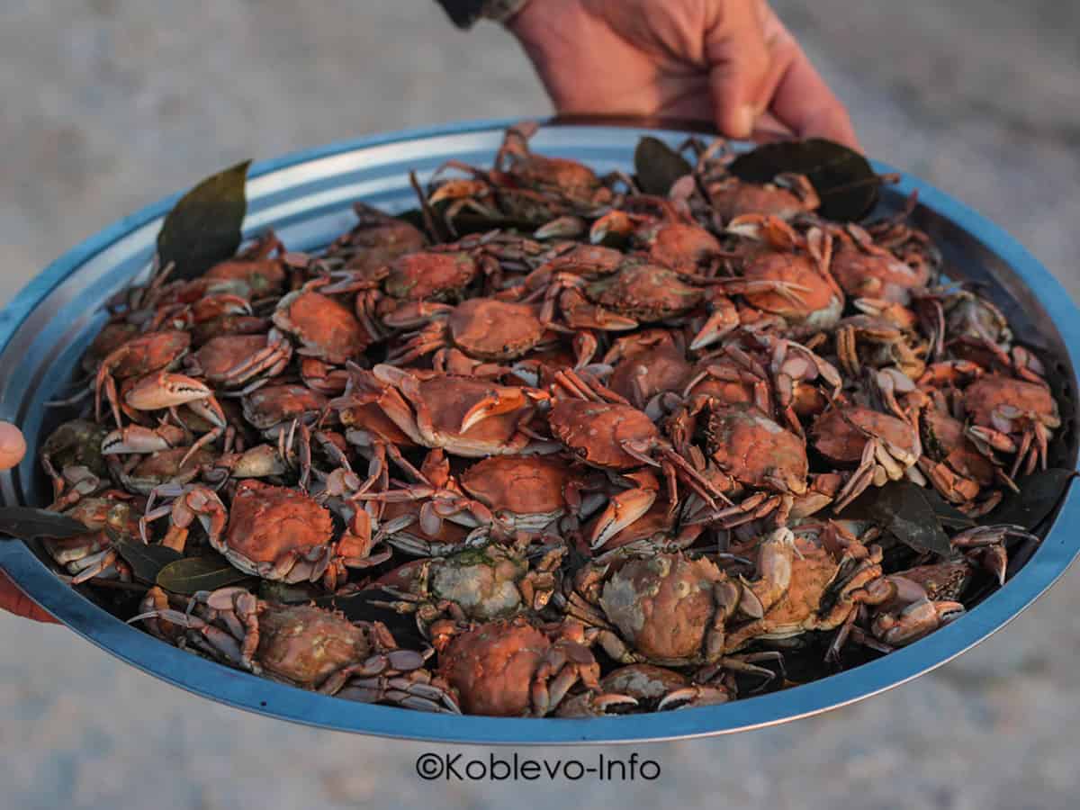 Поесть крабов на пляже в Коблево