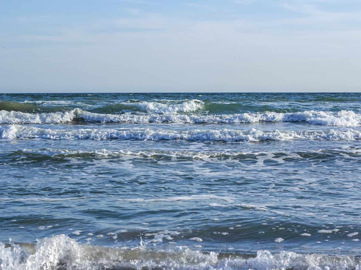 Отдых на Черном море в Коблево летом