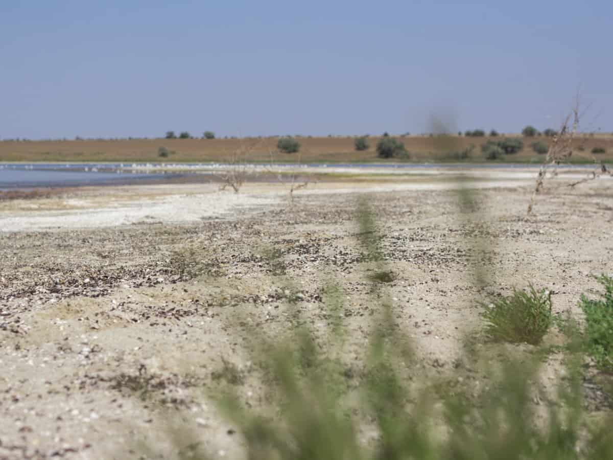 Географические особенности и климат курорта Коблево