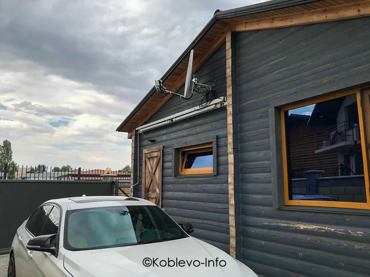 На море с животными в Коблево