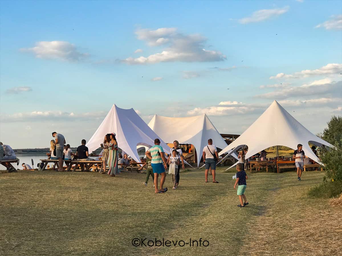 Устрицы Скифии в Коблево