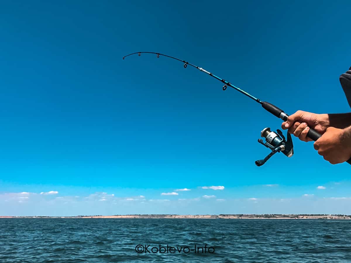 Отдых в Коблево 2021. Морская рыбалка