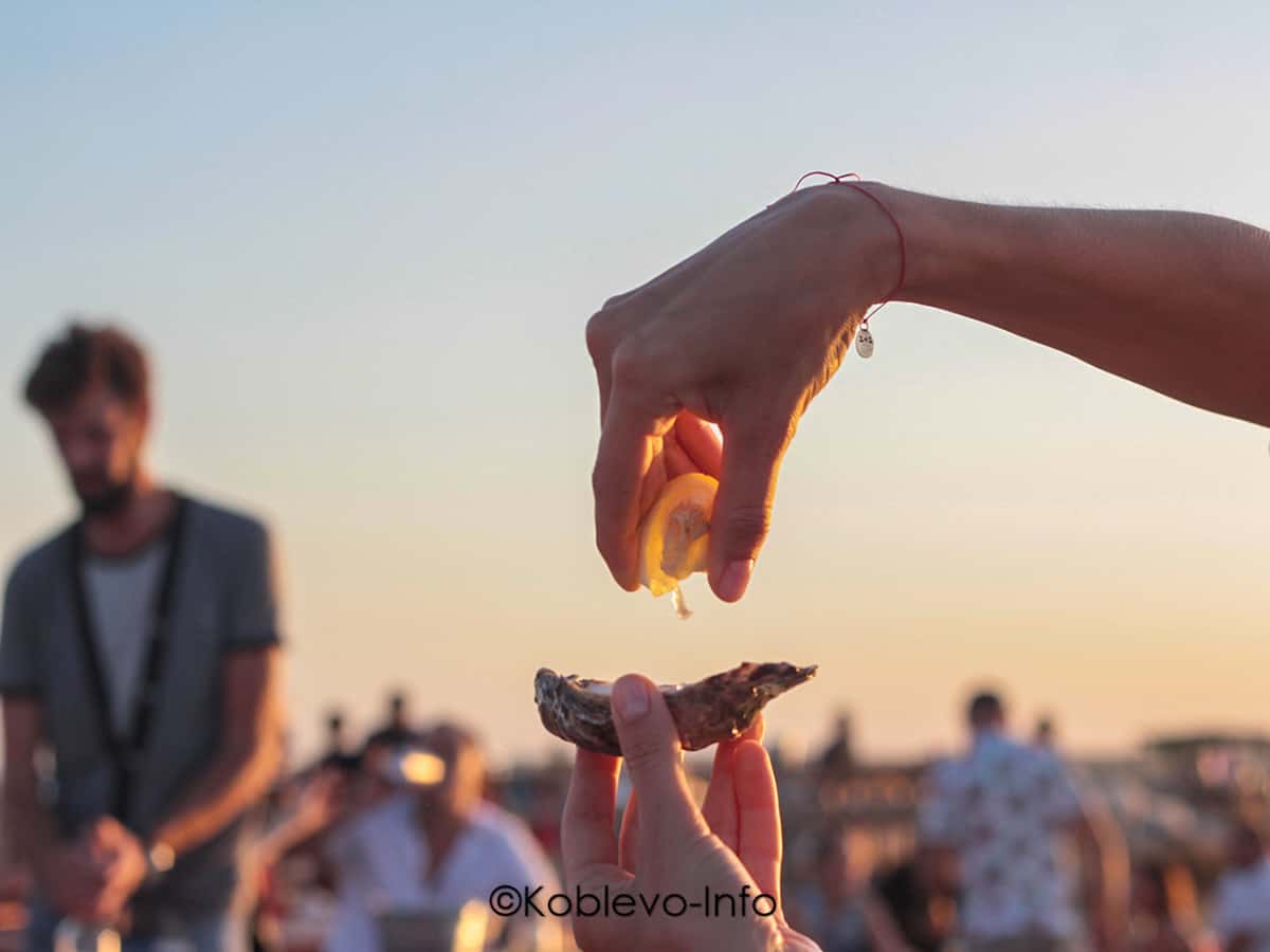 Отдых в Коблево 2021. Устрицы