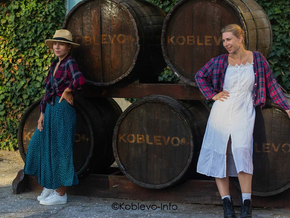 Завод Дом вина Коблево