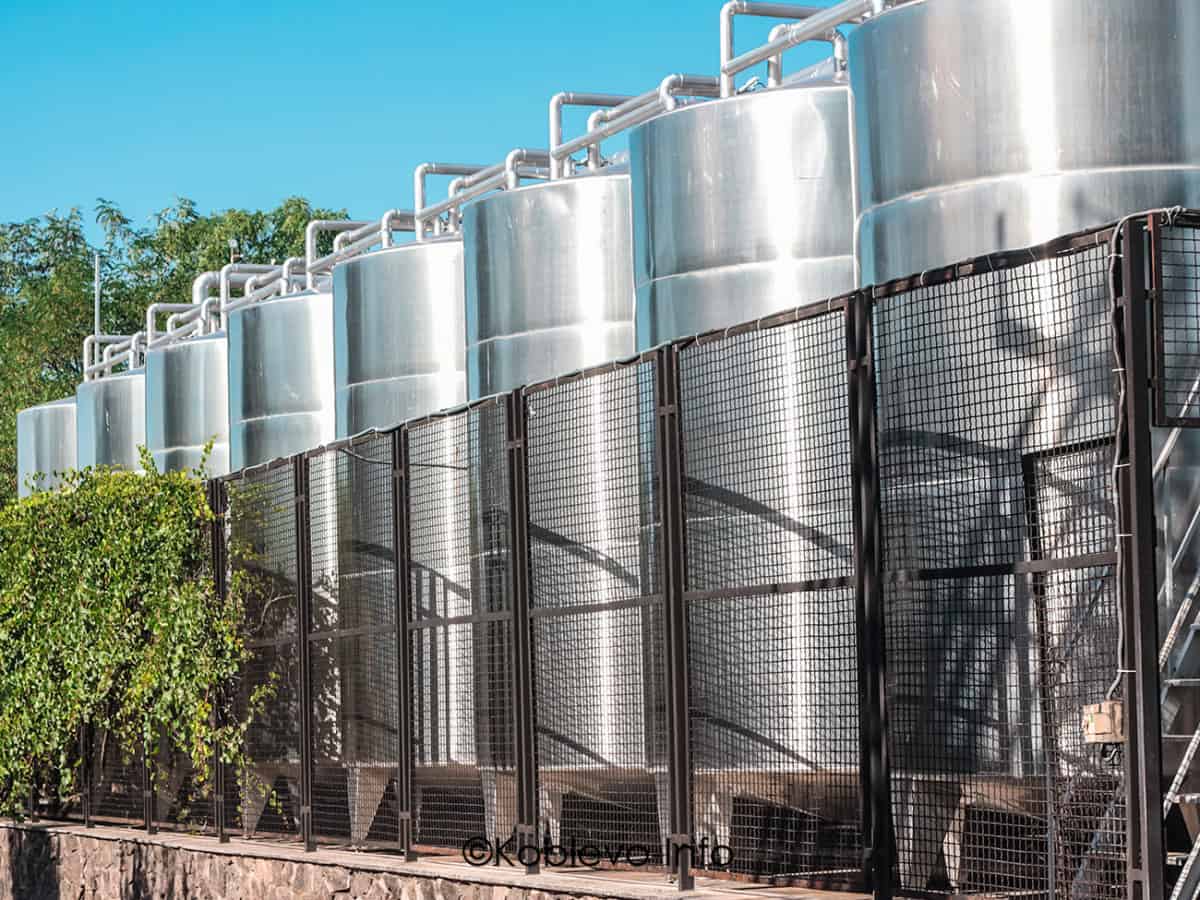 Заказать экскурсию на винзавод Коблево