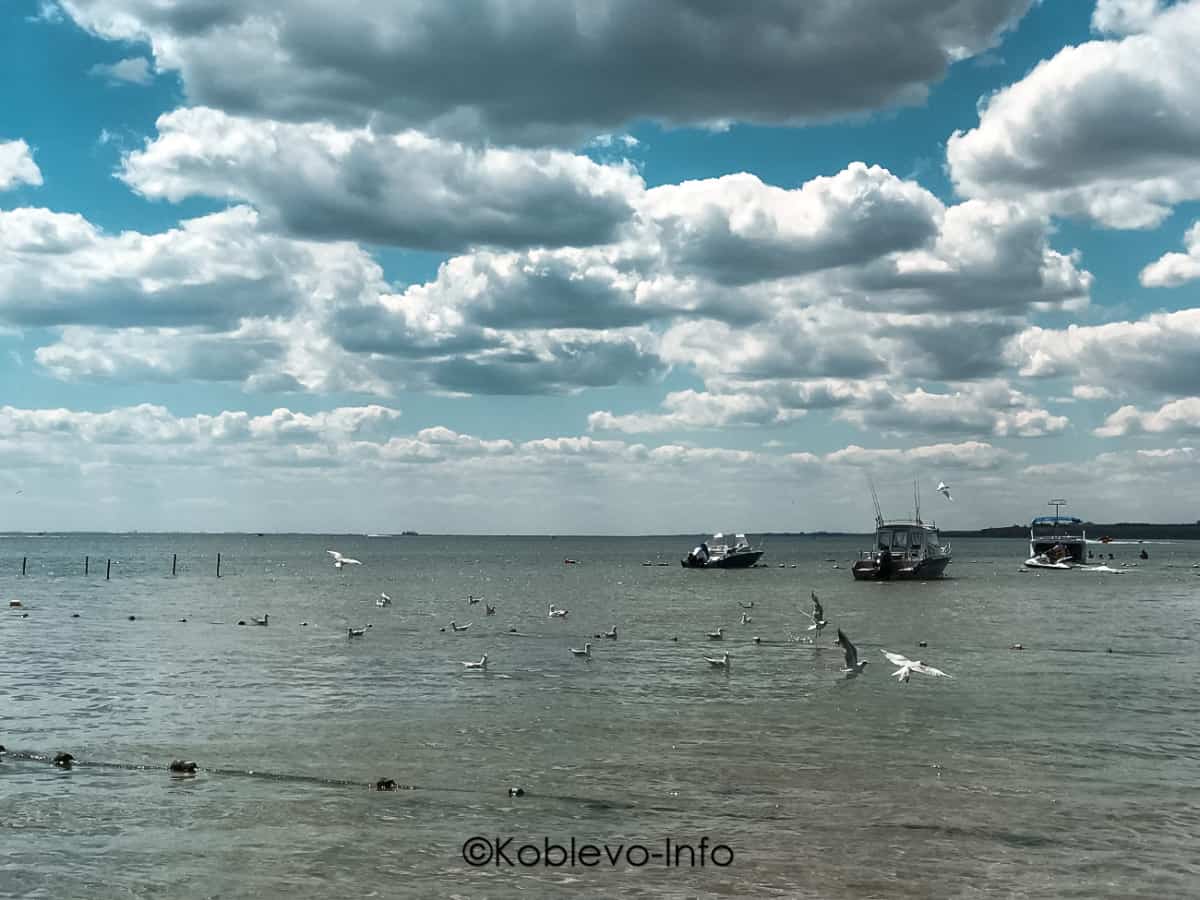 Фото Коблево