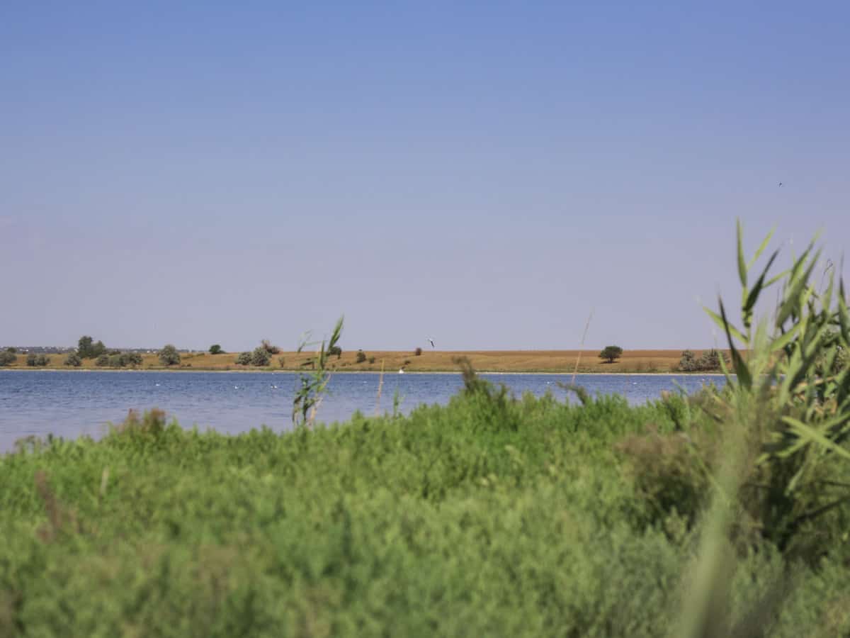 Все о курорте Коблево 2021 на Черном море