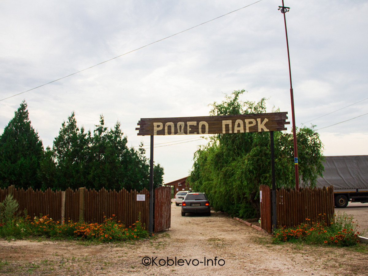 Отдых в Коблево 2021