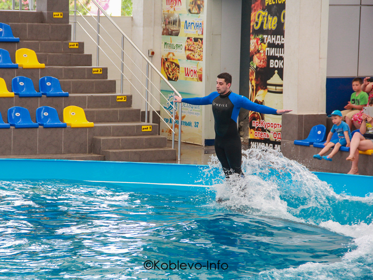 Трюки с дельфинами на выступлении в дельфинарии в Коблево