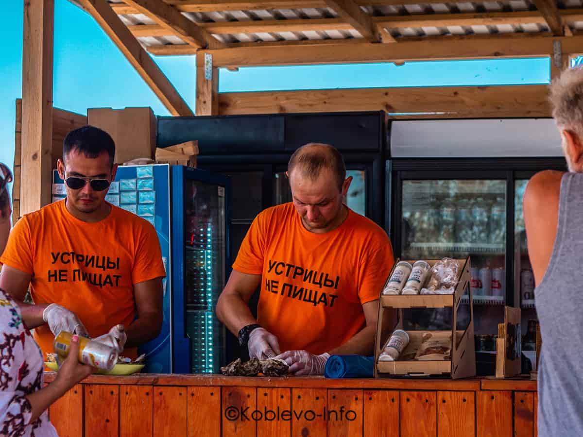 Барная стойка на устричной ферме в Коблево