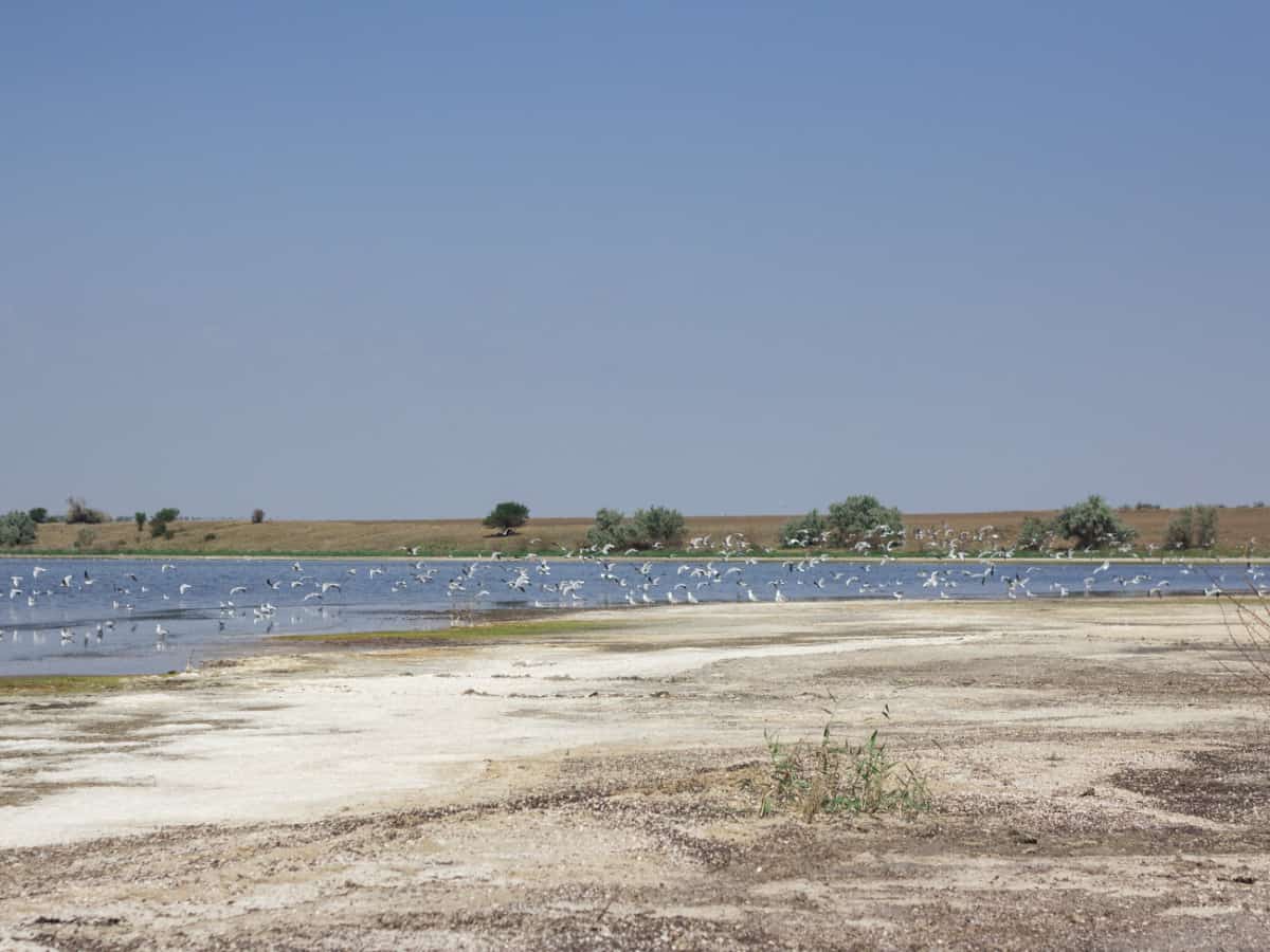 Живописная природа в Коблево