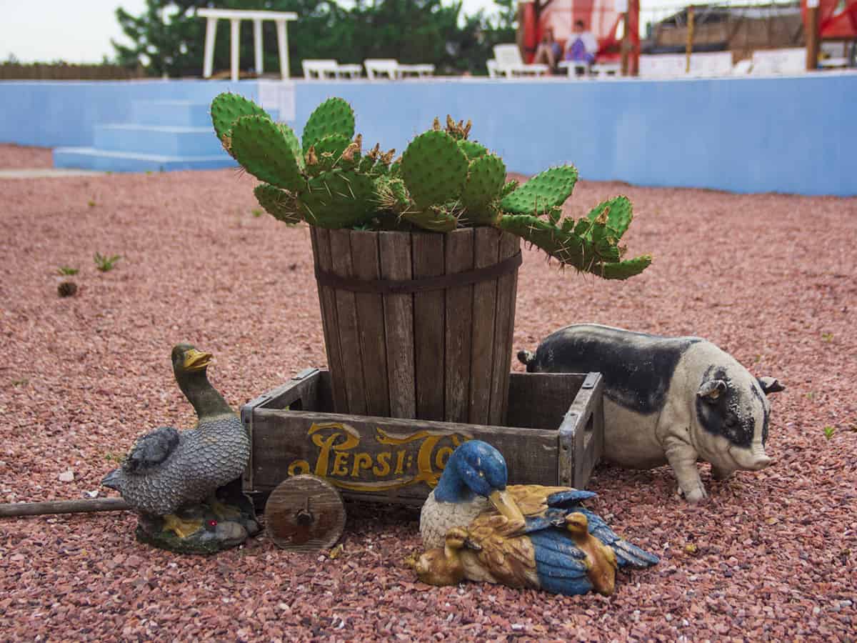 Родео парк в Коблево