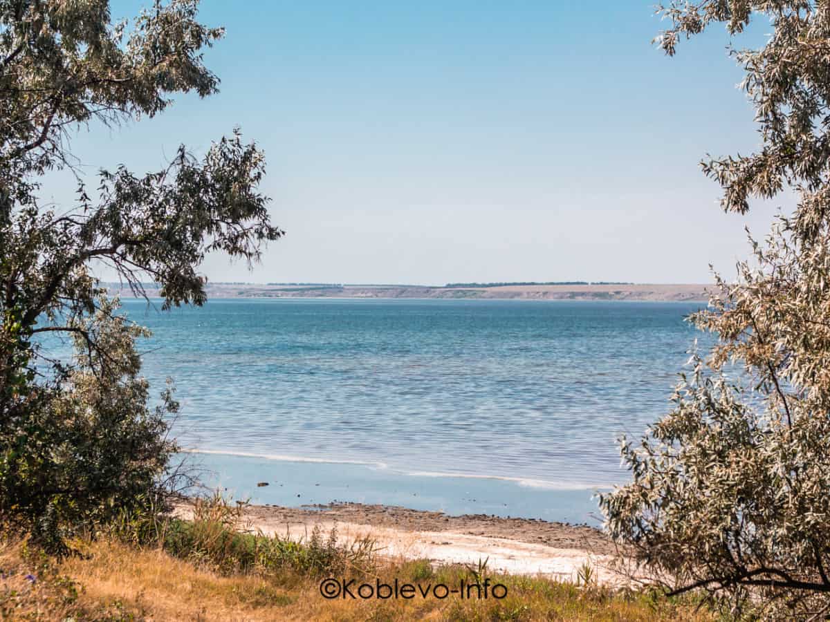 Отдых на устричной ферме в Коблево