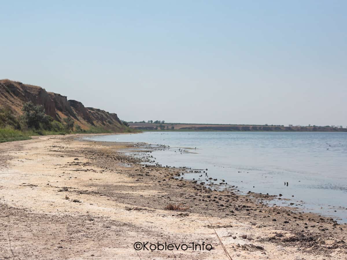 Посетить Тилигульский лиман в Коблево