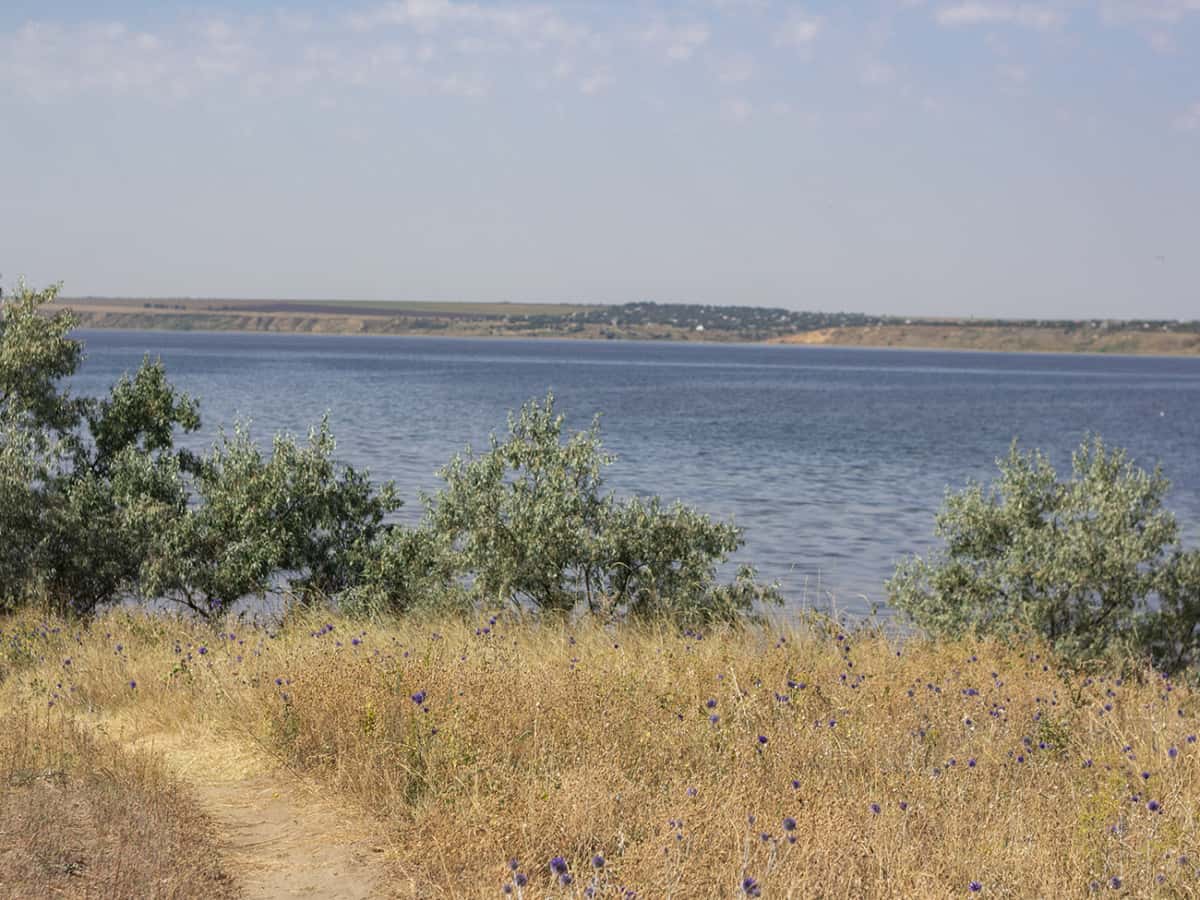 Природа на Тилигульском лимане в Коблево