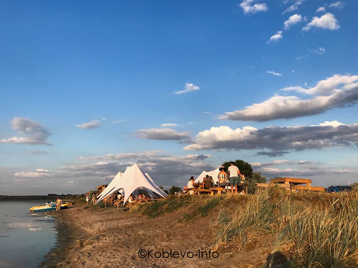 Экскурсии на устричную ферму в Коблево