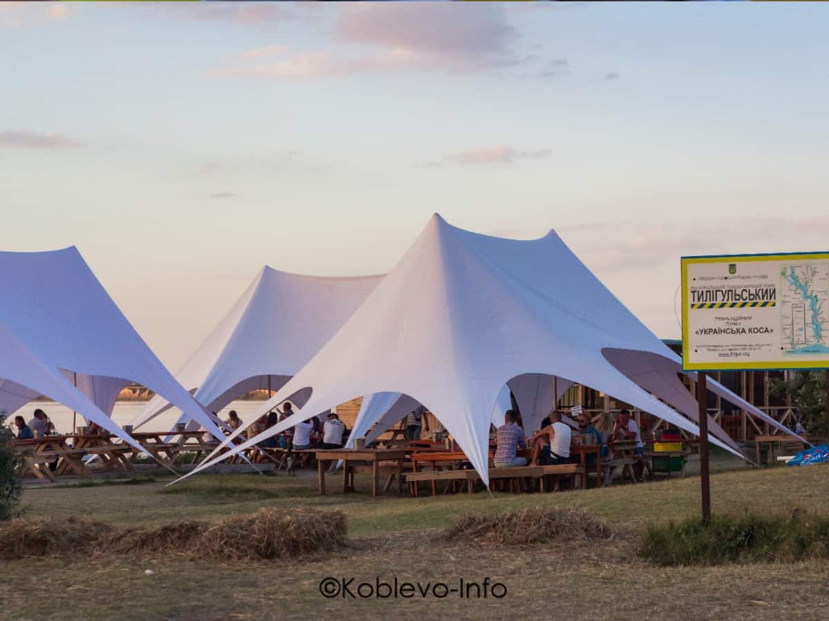 Устрицы Скифии в Коблево