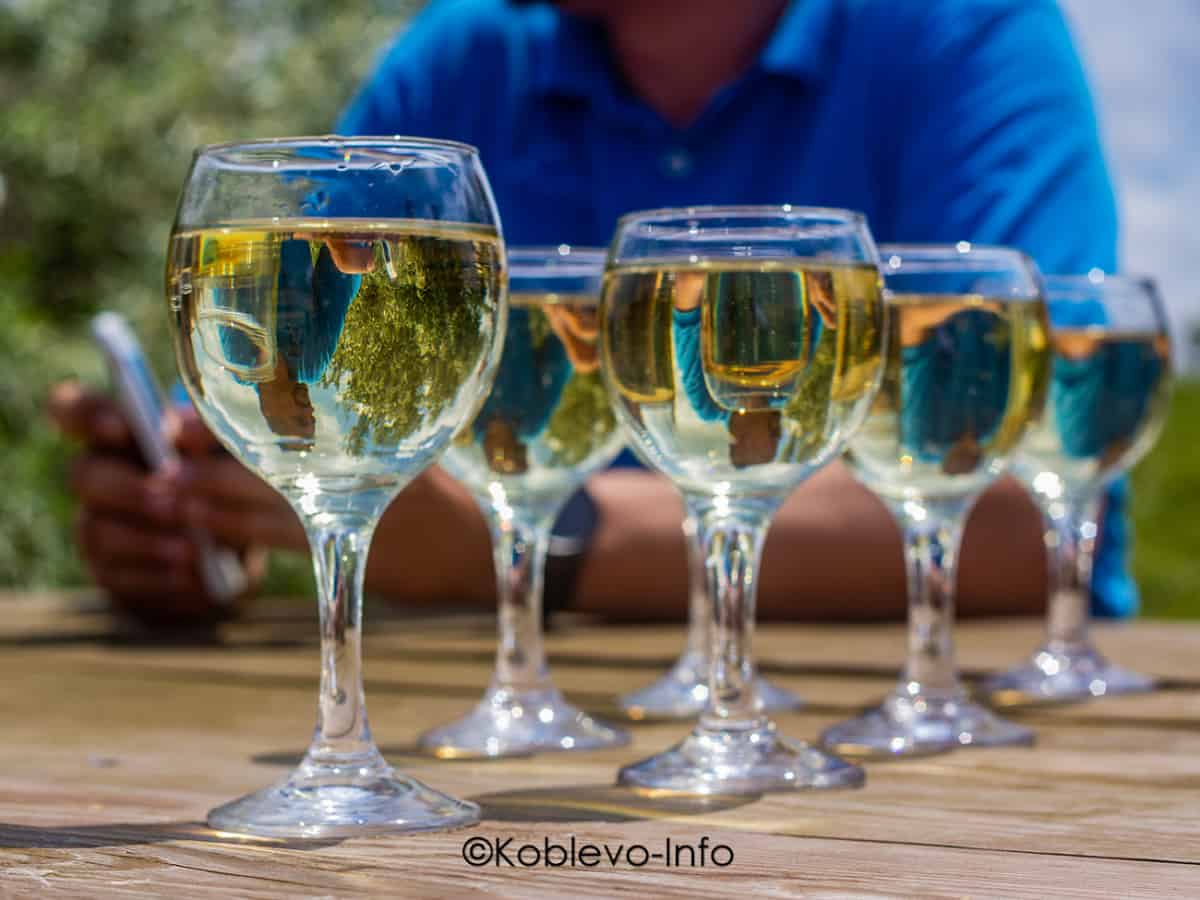 Вино к устрицам в Коблево