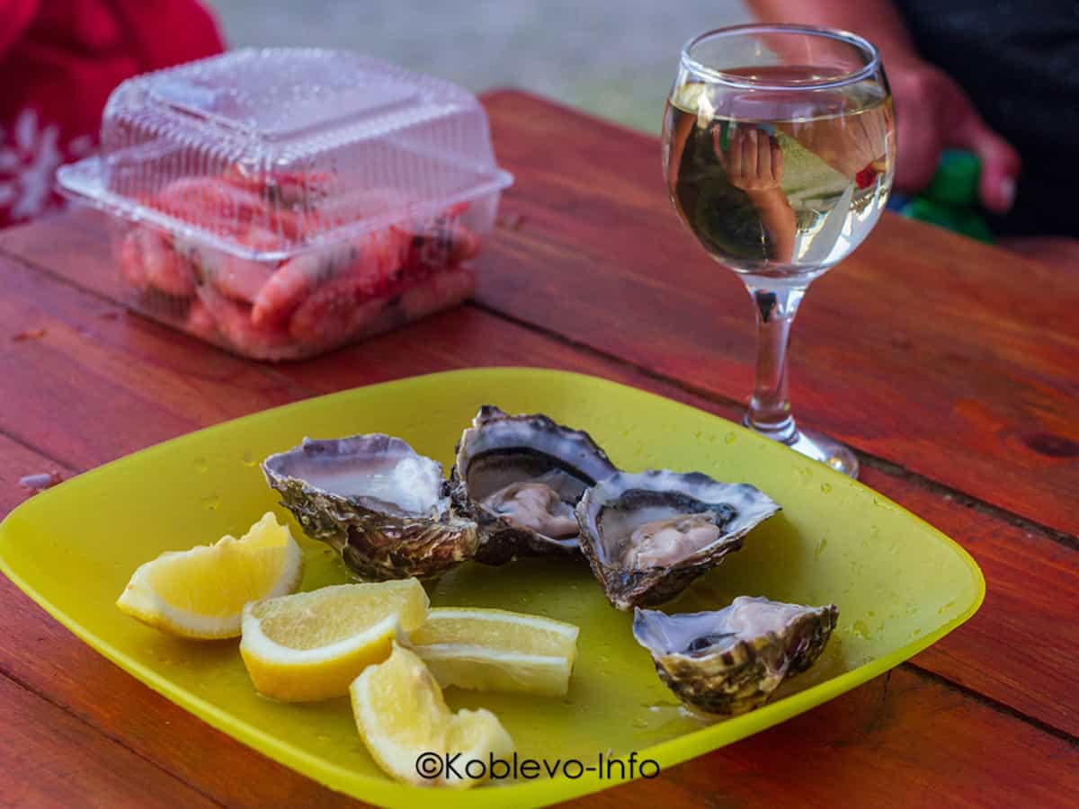 Устричная ферма на Тилигульском лимане в Коблево