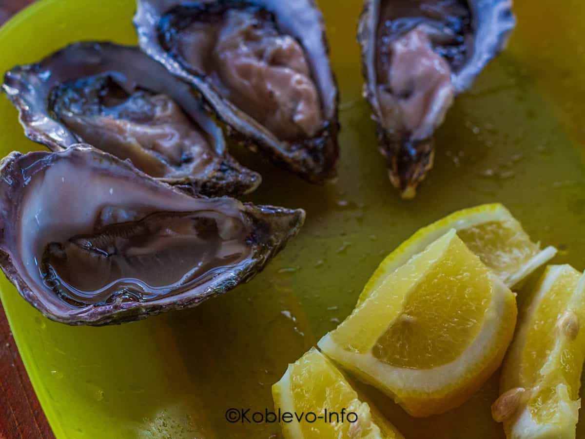 Как правильно есть устрицы Коблево