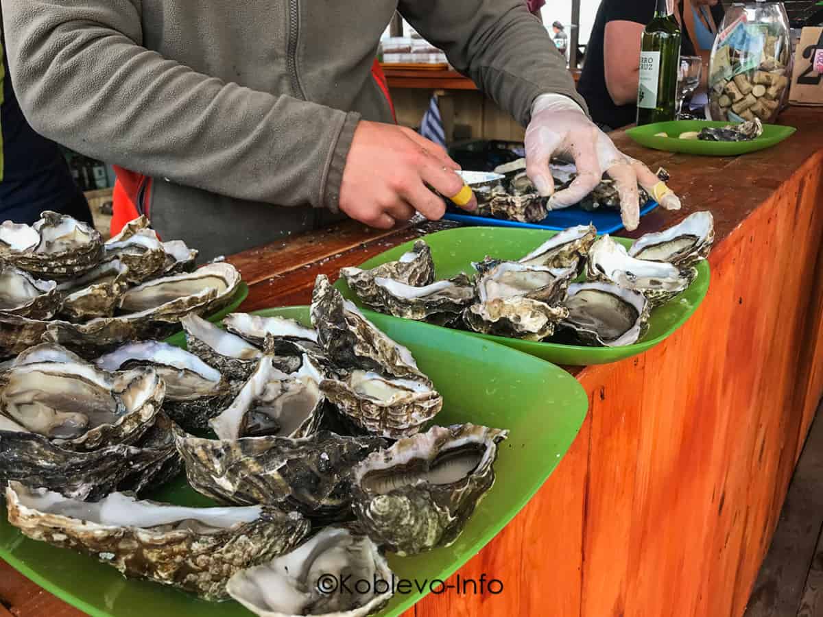 Где самые вкусные устрицы в Коблево