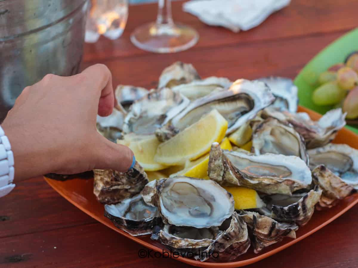 Поесть устрицы на море в Коблево