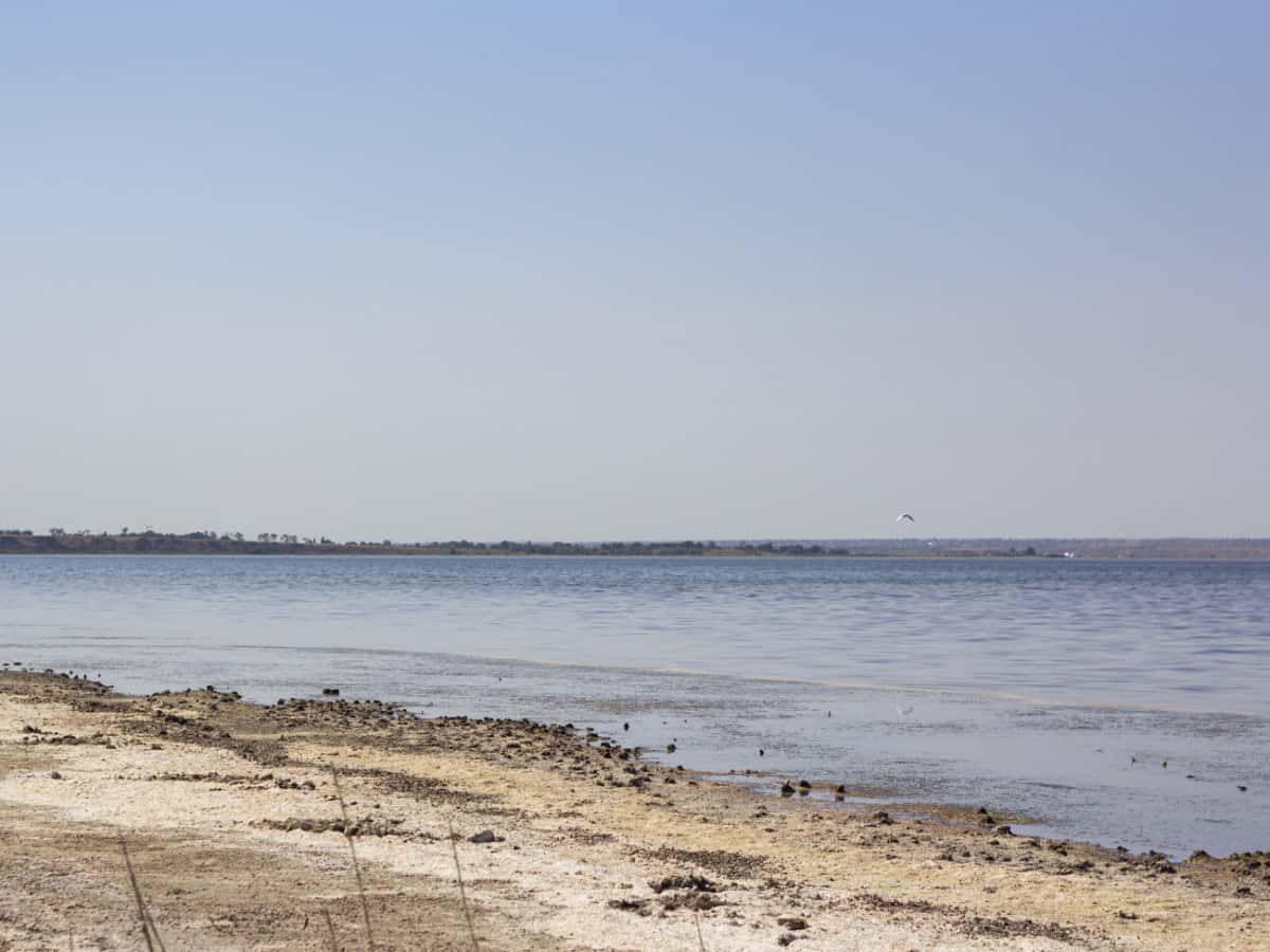 Зона отдыха на Тилигульском лимане в Коблево