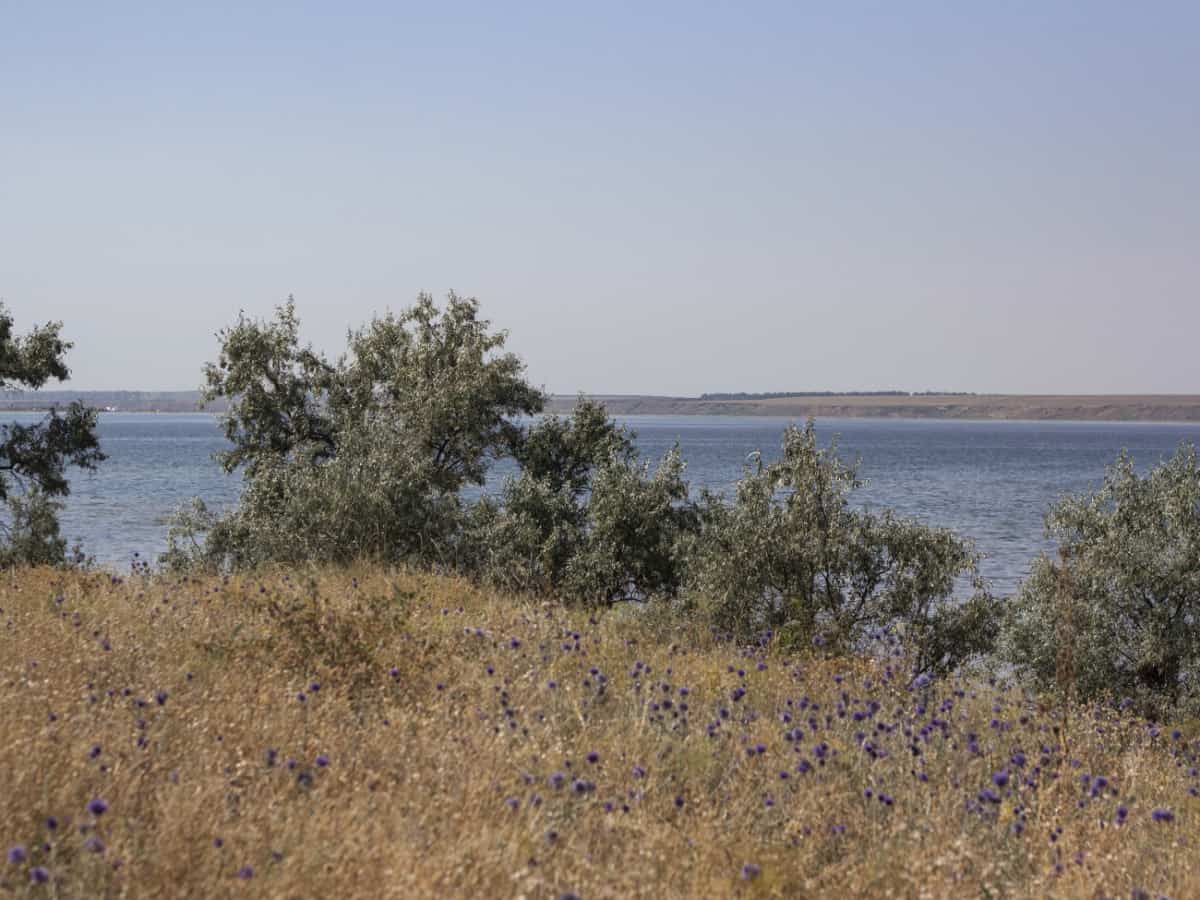 Как добраться до Тилигульского лимана в Коблево