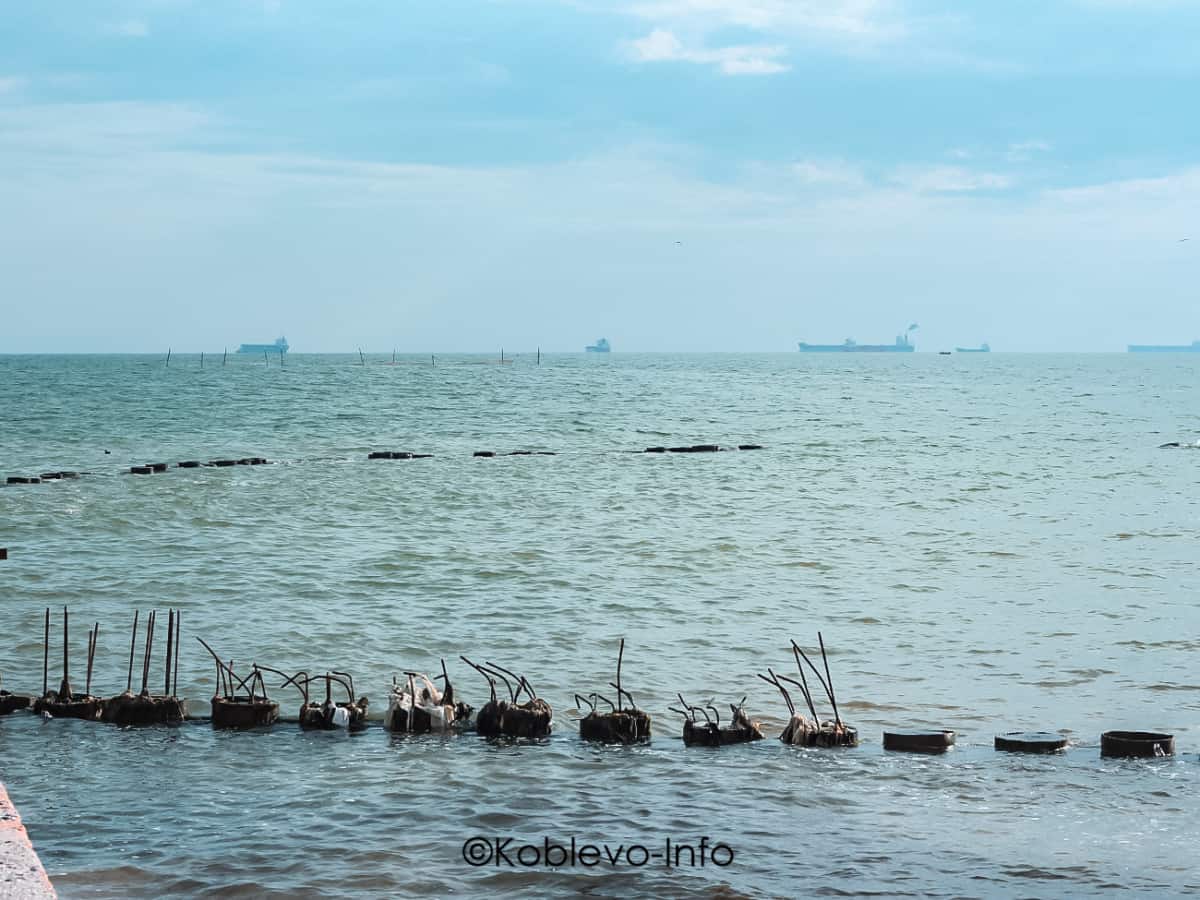 Фото волнорезов в Коблево