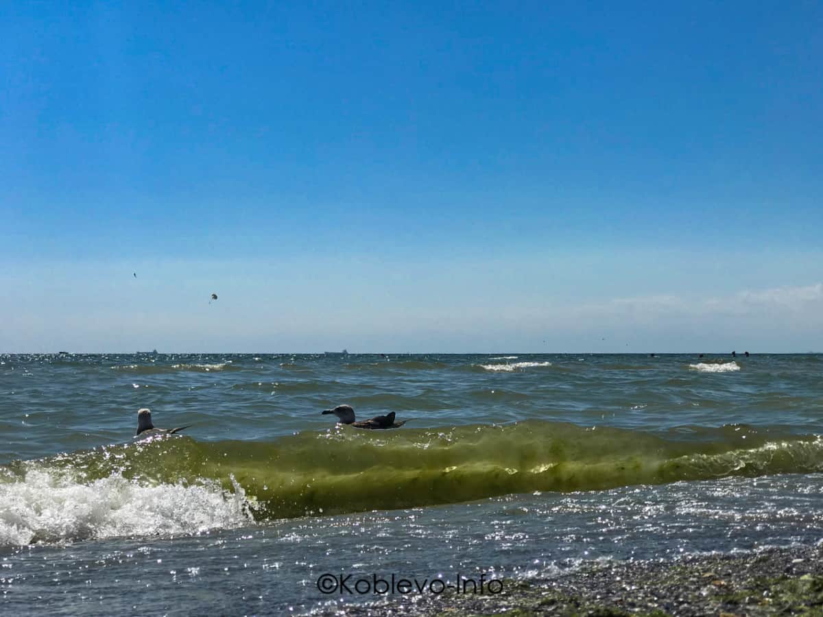 Прекрасная погода в Коблево летом