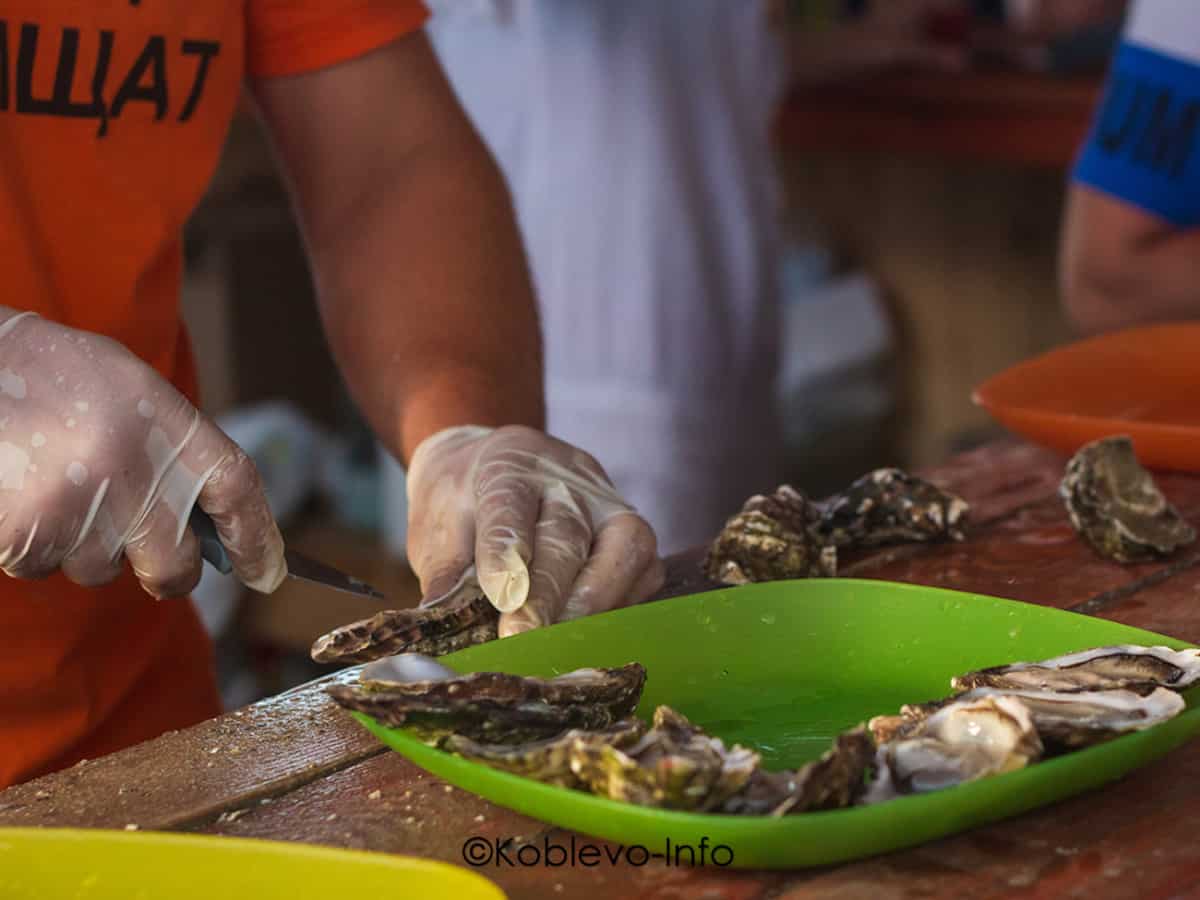 Подача устриц в Коблево