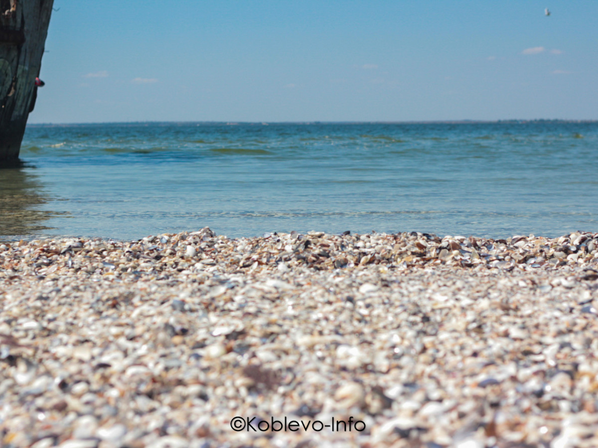 На Кинбурнской косе очень чистые пляжи Коблево
