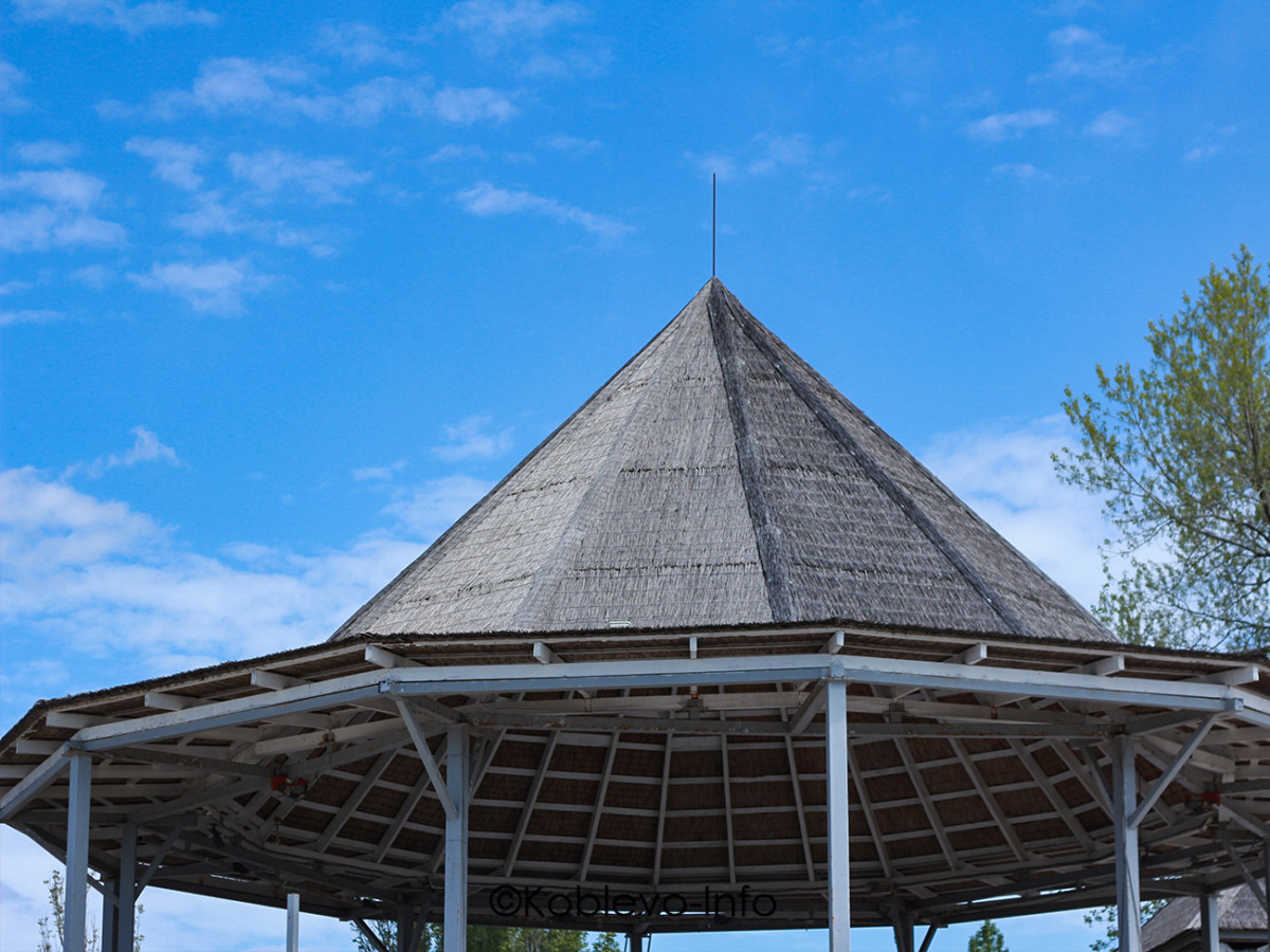 Фото пляжного клуба Бора Бора в Коблево