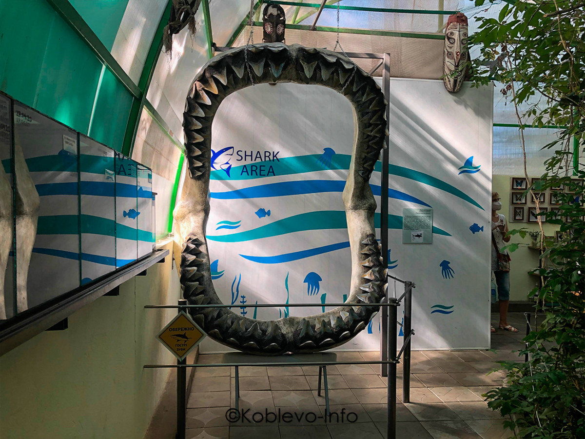 Николаевский зоопарк фото