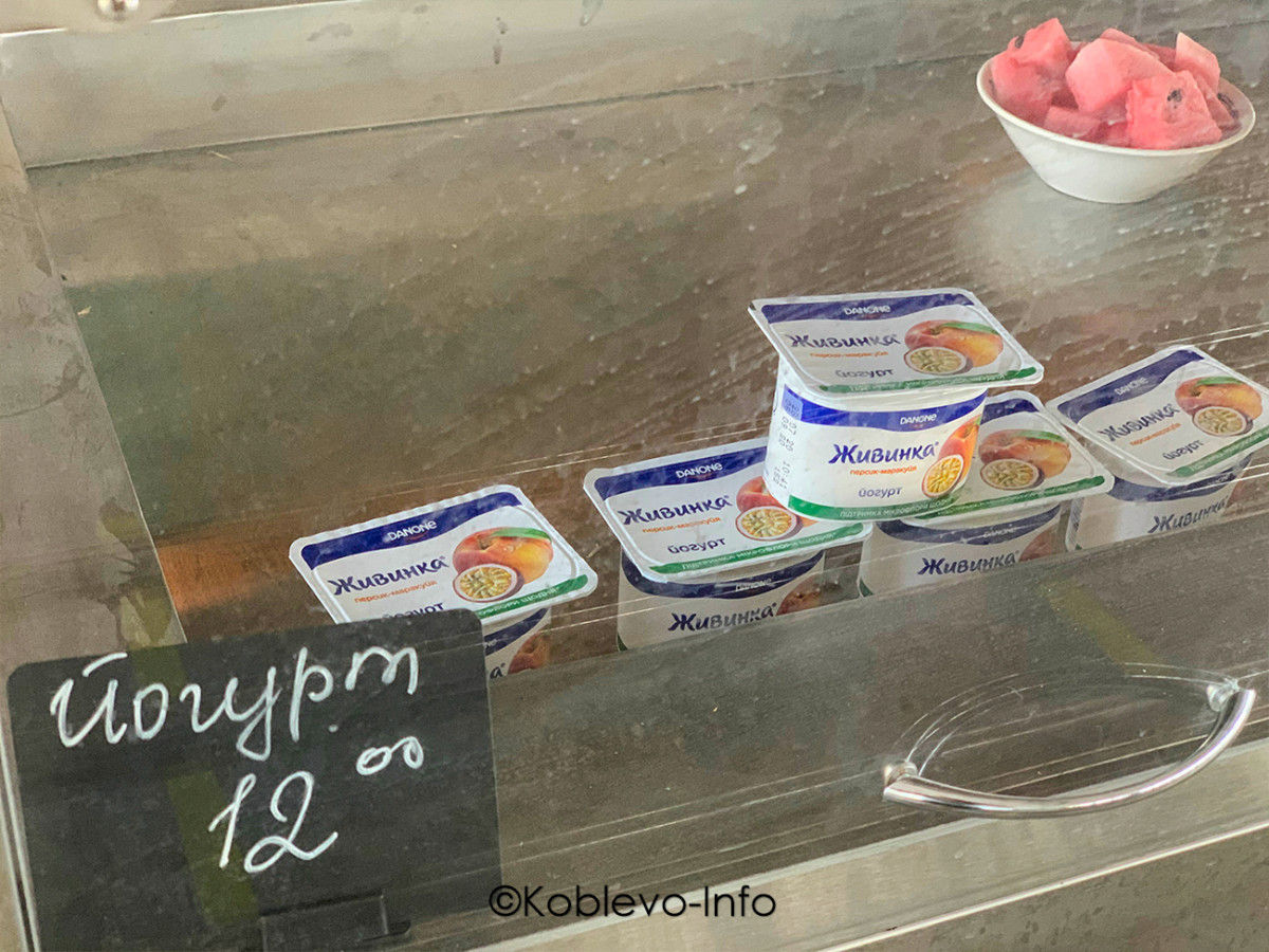 Пасть в столовой в Коблево летом 2021