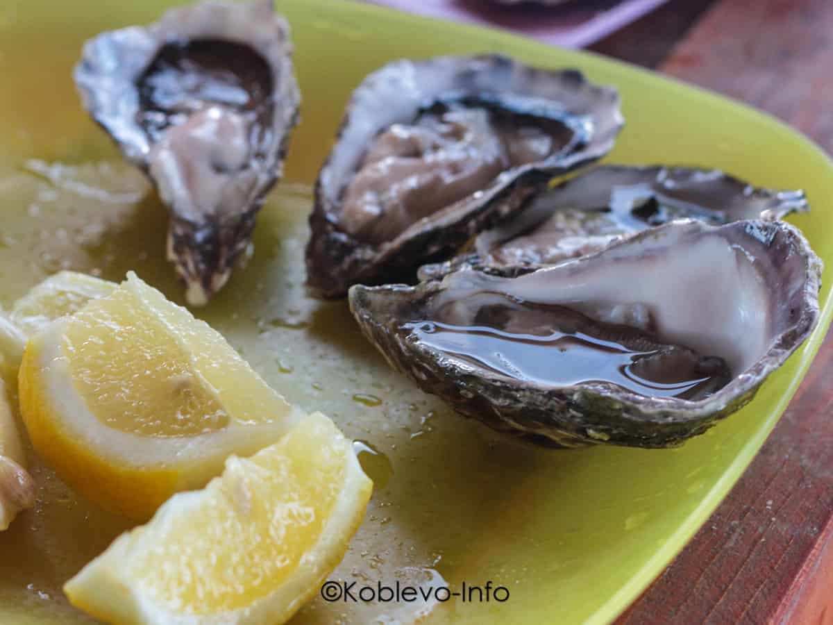 Польза устриц