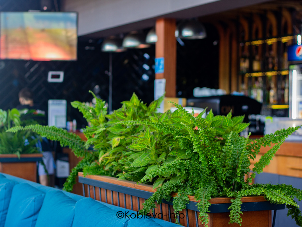 Сеть ресторанов Pizza & Steak в Коблево на базе отдыха Ракета