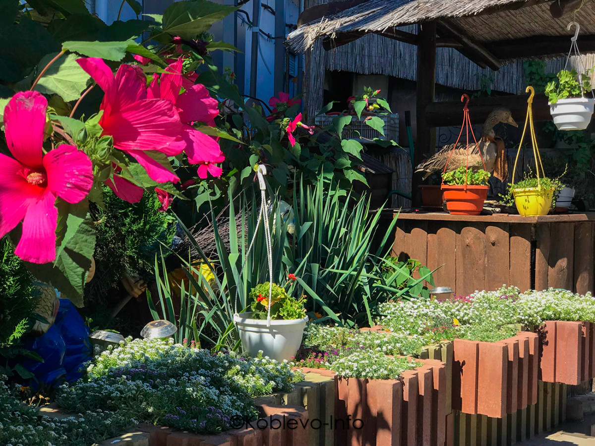 Фото территории кафе У Бабушек в Коблево